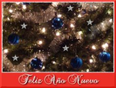 Feliz Año Nuevo