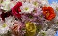 Blumenstrauss Chrysanthemen mit Rosen