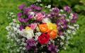 Rosenstrauss - schöne Rosen in weiss, gelb, orange und rosa