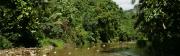 Dschungel Flusslandschaft