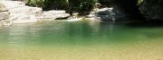 Klares warmes Urwald-Flusswasser