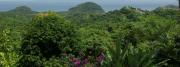 Puerto Galera Meerblick mit üppiger Insel Natur