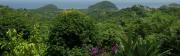 Puerto Galera - Meeresblick mit Urwald Natur