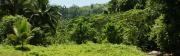 Flusslandschaft mit Dschungel Vegetation