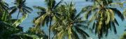 Ocean view dual monitor widescreen wallpaper