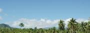 Tropical sky above palms - island scenery Philippine islands