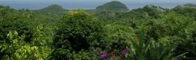 Ocean view - Puerto Galera
