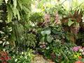 1st place Garden exhibit - Category Coirdillera