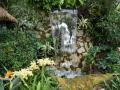 Jardines tropicales con cascada - Ave del Paraíso y Orquideas