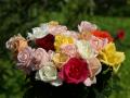 Ramo de rosas más bellas - foto-fondo