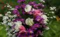 belles roses
