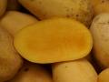 mango cut open