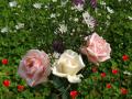 Hintergrundbilder Liebe