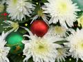 Maligayang Pasko - Christmas wallpaper