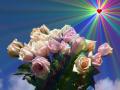 Hintergrundbilder Liebe
