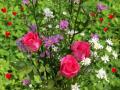Hintergrundbilder Liebe