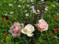 Hintergrundbilder Liebe