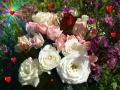 Hintergrundbilder Liebe