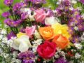 Love roses with hearts