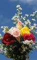 roses bouquet