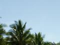 Sky wallpapers