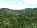 Tropical Mountain scenery