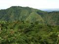 Tropical Mountain scenery