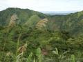 Tropical Mountain scenery