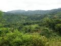 Tropical Mountain scenery