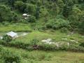 Tropical Mountain scenery