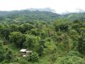 Tropical Mountain scenery