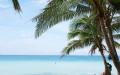 Dream beach - wallpapers