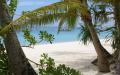 Dream beach - wallpapers