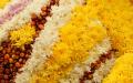 bloom in white, pink and yellow