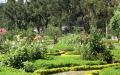 Flower park