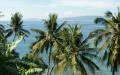 Palm trees - Ocean view Puerto Galera - Mindoro island, Philippines