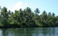 Tropical island nature - island nature scenery photos - widescreen desktop background wallpapers