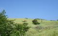 Tropical island nature - island nature scenery photos - widescreen desktop background wallpapers