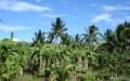 Tropical island nature - island nature scenery photos - widescreen desktop background wallpapers