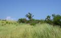 Tropical island nature - island nature scenery photos - widescreen desktop background wallpapers
