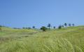 Tropical island nature - island nature scenery photos - widescreen desktop background wallpapers