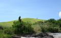 Tropical island nature - island nature scenery photos - widescreen desktop background wallpapers