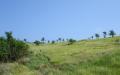 Tropical island nature - island nature scenery photos - widescreen desktop background wallpapers