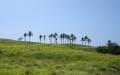 Tropical island nature - island nature scenery photos - widescreen desktop background wallpapers