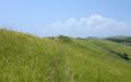 Tropical island nature - island nature scenery photos - widescreen desktop background wallpapers