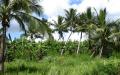 Tropical island nature - island nature scenery photos - widescreen desktop background wallpapers