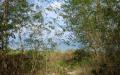 Tropical island nature - island nature scenery photos - widescreen desktop background wallpapers