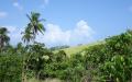 Tropical island nature - island nature scenery photos - widescreen desktop background wallpapers