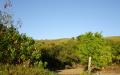 Tropical island nature - island nature scenery photos - widescreen desktop background wallpapers