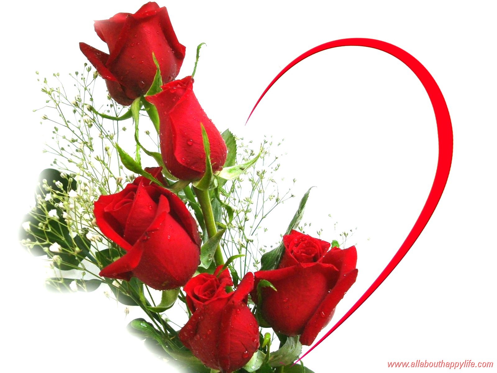 https://www.allabouthappylife.com/wallpapers/love/love-wallpaper-red-roses_dsc03451.jpg